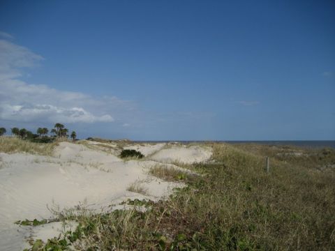 1995 Ford Bronco - Coastal scene with sand dunes, grass, and the ocean on a clear day.