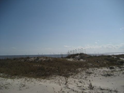 1995 Ford Bronco - A view of the ocean beyond sandy dunes covered in dry grass.