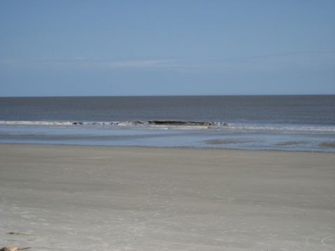 1995 Ford Bronco - A tranquil beach scene with gentle waves lapping the shore under a vast blue sky.