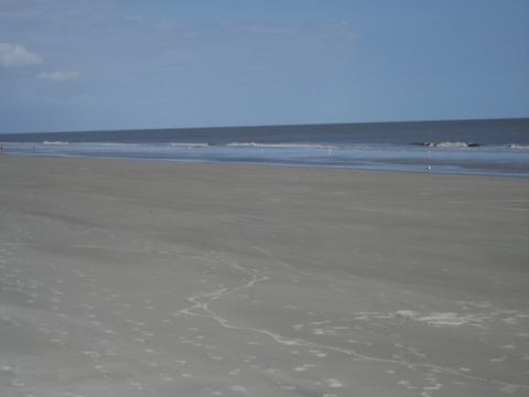 1995 Ford Bronco - A wide expanse of sand meets the ocean under a clear blue sky.