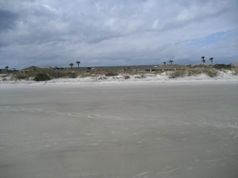 1995 Ford Bronco - A wide shot of a beach with buildings and palm trees visible behind the dunes.