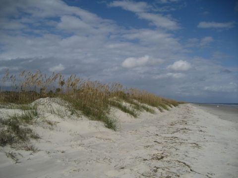 1995 Ford Bronco - A wide expanse of sand dunes and beach stretches towards the ocean under a partly cloudy sky.