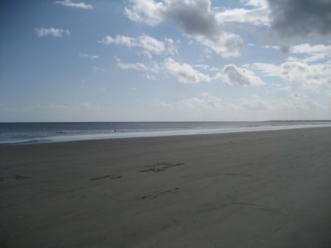 1995 Ford Bronco - A tranquil beach scene with the ocean meeting the sand under a partly cloudy sky.