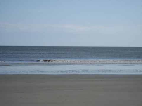 1995 Ford Bronco - A tranquil beach scene with the ocean meeting the shore under a clear sky.