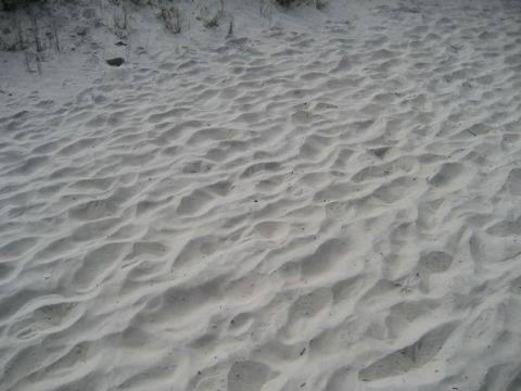 1995 Ford Bronco - Sand dunes with ripples and sparse vegetation visible.