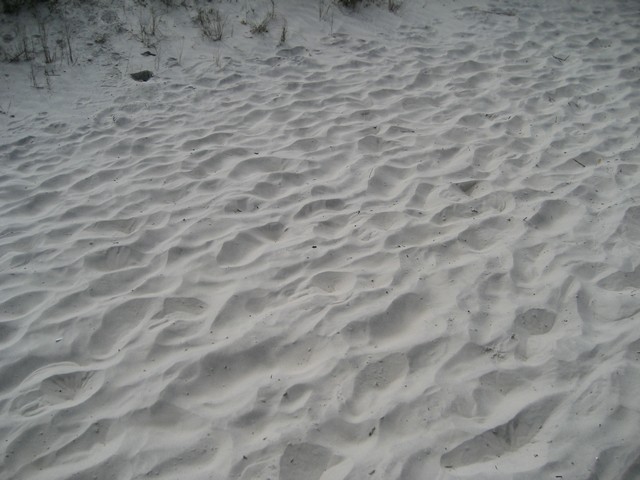 rippled sand dunes with sparse vegetation