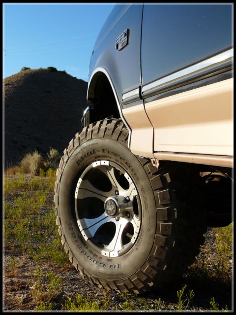 1996 Ford Bronco - Close-up of a lifted Ford F-250 truck's wheel and side panel, parked in a dry, grassy area.