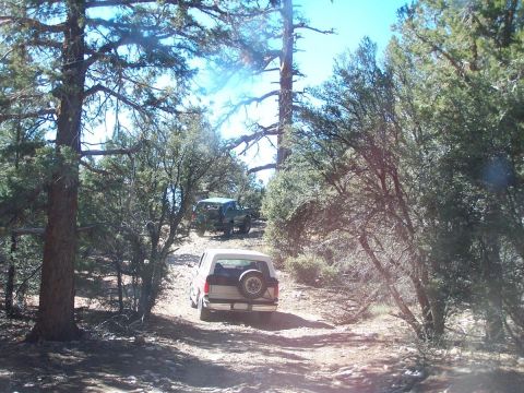 1990 Ford Bronco - Two SUVs navigate a wooded trail, with one white SUV in the foreground and another green SUV further up the path.