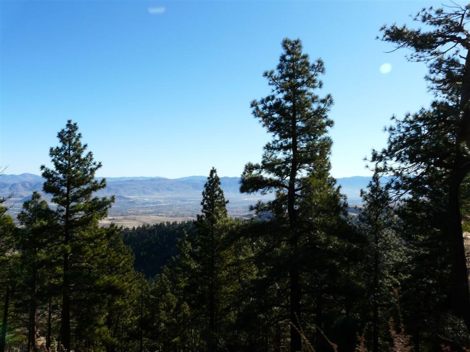 View through pines from a ridge overlooking a wide desert valley and distant mountains