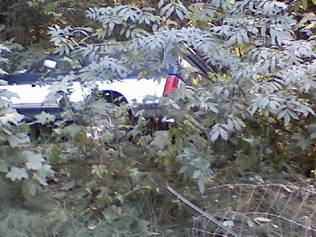 1993 Ford Bronco side view, partially hidden by trees and bushes