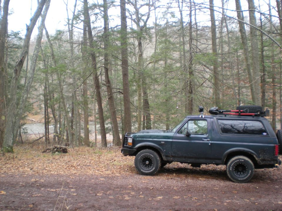 Dark green Ford Bronco parked in a forest setting with a roof rack.