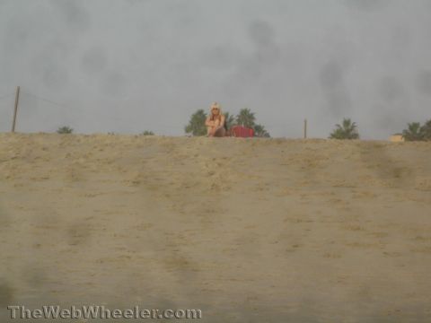1968 Ford Mustang - Woman sits on a sand dune overlooking the beach with palm trees behind her.