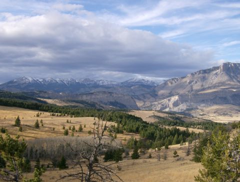 1990 Ford Bronco - A wide landscape view of rolling hills covered in dry grass and scattered pine trees, with a range of snow-capped mountains in the backgrou…