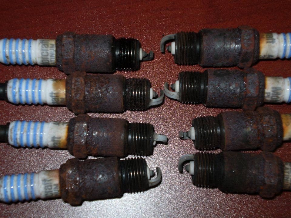 Eight rusty spark plugs with white and blue striped insulators, some showing "Motorcraft Platinum" text