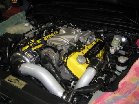2003 Mercury Marauder - Custom engine build a ProCharger supercharger and Intech valve covers.