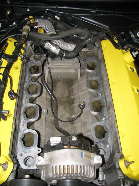 2003 Mercury Marauder - Close-up view of an engine's intake manifold and yellow valve covers, with an alternator visible below.