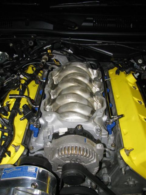 2003 Mercury Marauder - Close-up of a modified engine bay a ProCharger supercharger and yellow valve covers.