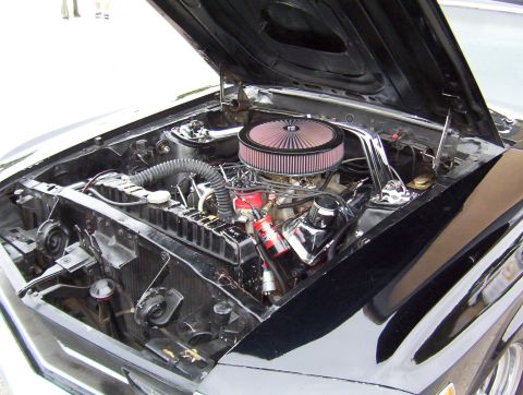 1970 Ford Mustang - The engine compartment of a classic car is displayed with the hood raised, revealing the motor and associated components.