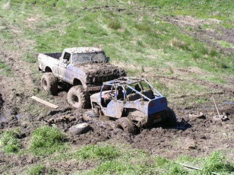 1979 Ford Bronco
