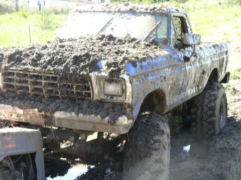 1979 Ford Bronco