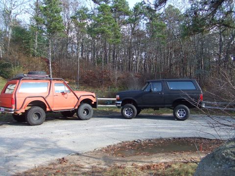 1995 Ford Mustang - Two Ford Broncos, one orange and one black, are parked on a paved surface with trees in the background.