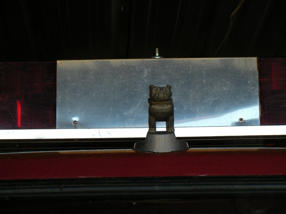 Dog hood ornament on a vehicle