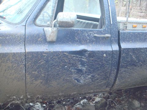 1978 Chevrolet C/K Pickup “The blue truck...”