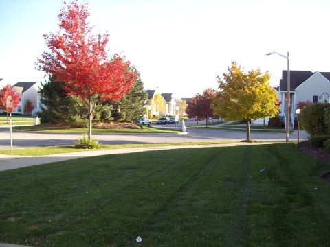 1999 Mercury Grand Marquis - A suburban street scene is captured during autumn, with colorful trees lining the road and several cars parked along the curb.