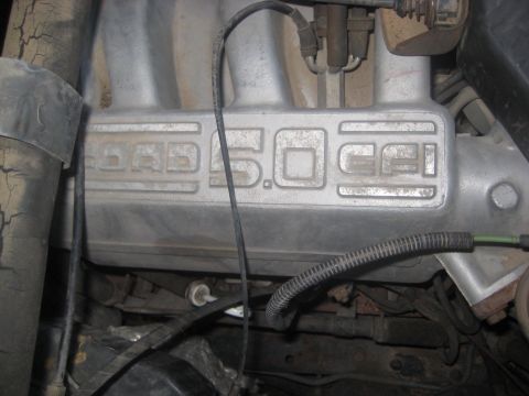 1989 Ford Bronco photo