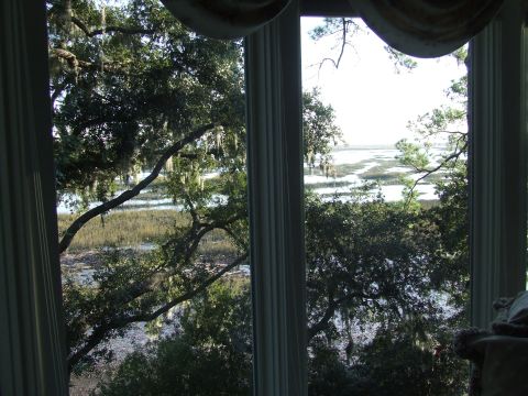 1976 Ford F-150 - A view of a marshy landscape with trees and water, seen through a window frame.