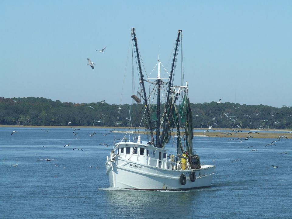 White fishing boat named Josie X sailing on the water with seagulls