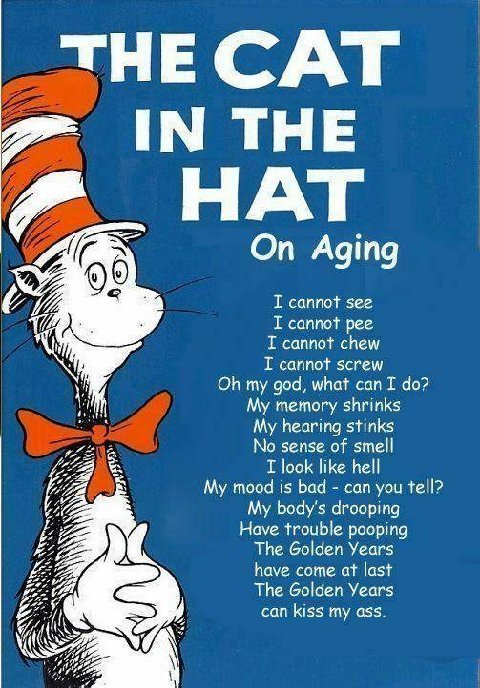 1982 Toyota 4Runner - A humorous poem attributed to The Cat in the Hat discusses the challenges and indignities of aging.