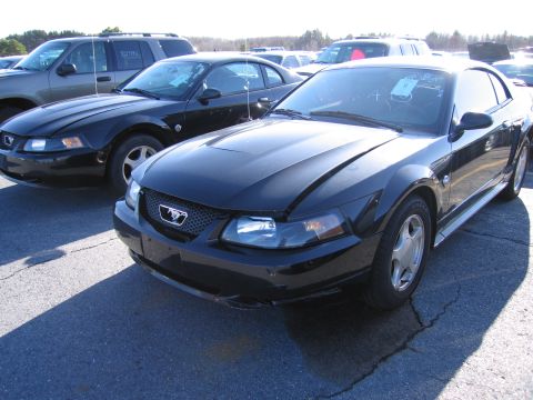 2001 Ford Crown Victoria - A black 2001 Ford Mustang is parked in a lot, with another Mustang and an SUV visible behind it.