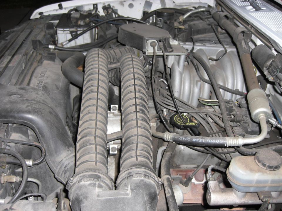 Fuel-injected V8 engine bay with ribbed intake tubes under the hood