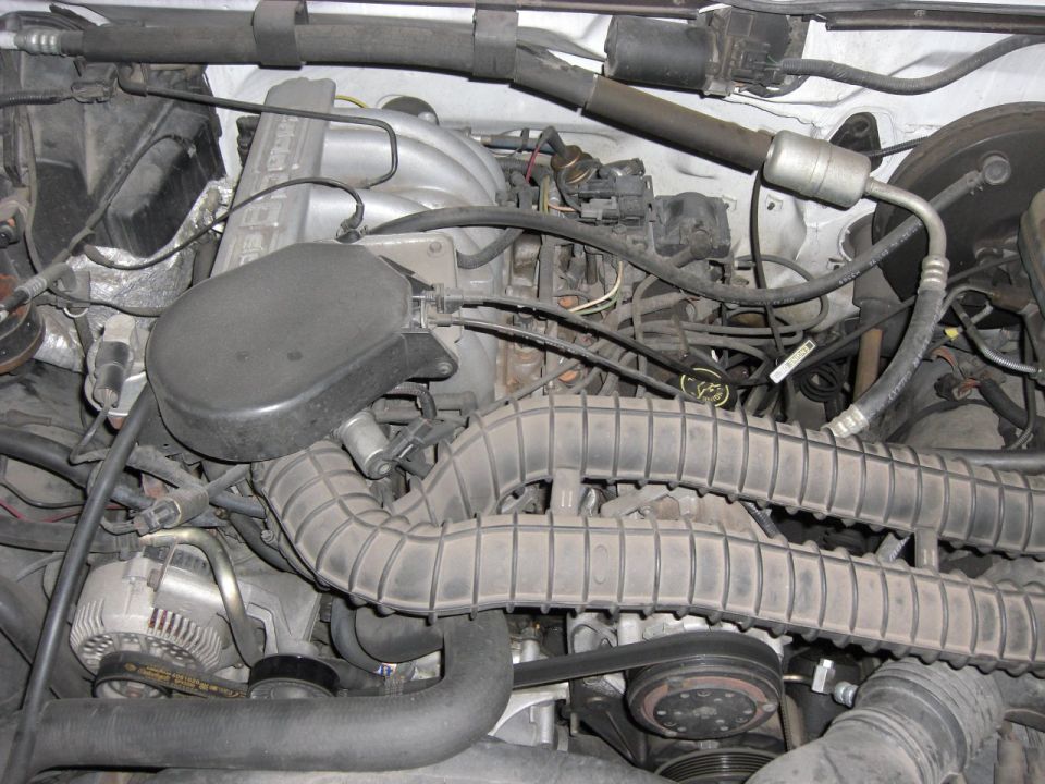 Engine bay view showing intake, distributor cap and ribbed ducting