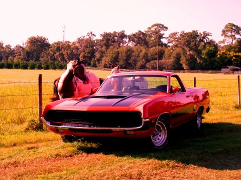 1970 Ford Ranchero - A red 1970 Ford Ranchero with black racing stripes sits in a field next to two horses.