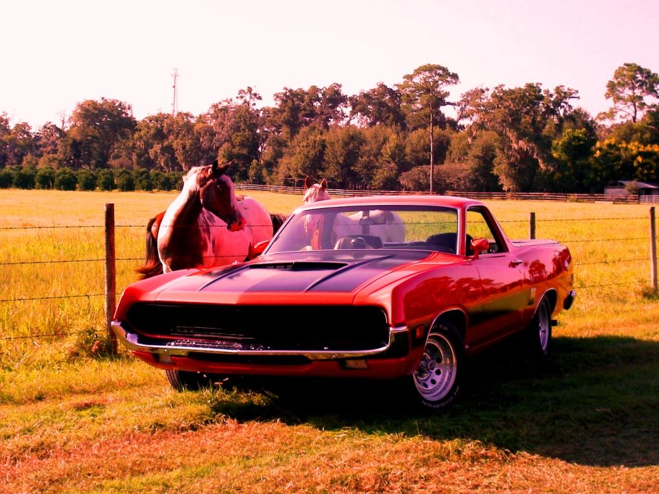 1970 Ford Ranchero “Ranchero GT”