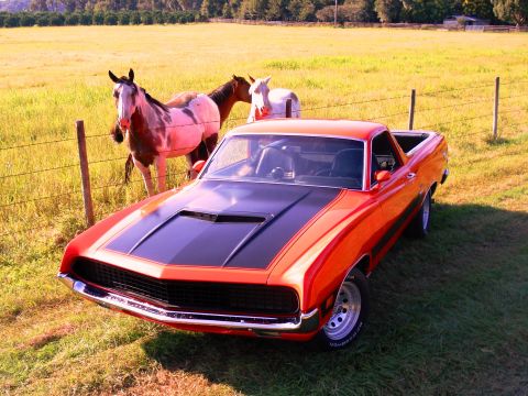 1970 Ford Ranchero - A 1970 Ford Ranchero is parked in a field with horses behind a fence.