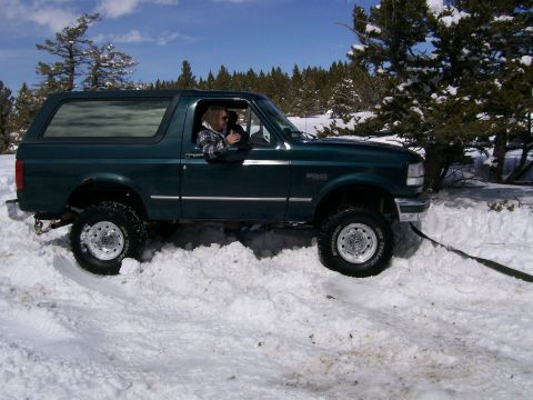 1979 Ford Bronco - A green Ford Bronco is stuck in a snowdrift, with trees and a blue sky in the background.