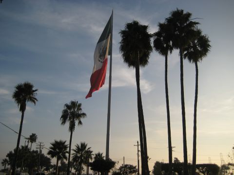 1996 Ford Bronco - A Mexican flag flies prominently against a backdrop of palm trees and a hazy sky, evoking a sense of place.