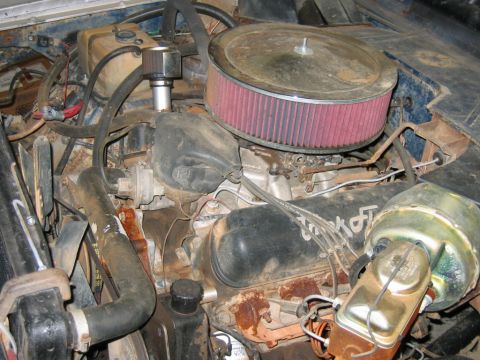 1992 Ford Mustang - Close-up of a V8 engine bay with various components visible.