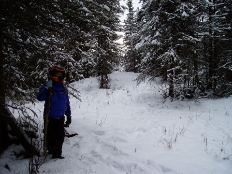 2000 Ford E350 - A person dressed for cold weather stands in a snow-covered forest.