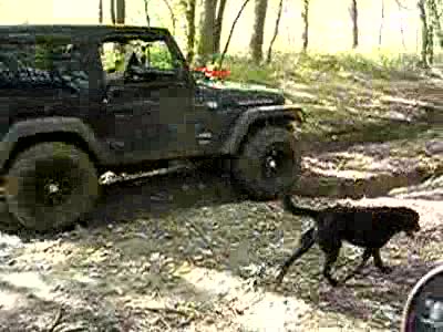 1971 Ford Bronco - 11/2/2008