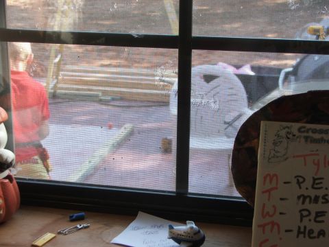 2005 Ford Mustang - A glimpse of a backyard scene, including a person and a vehicle, seen through a screened window.