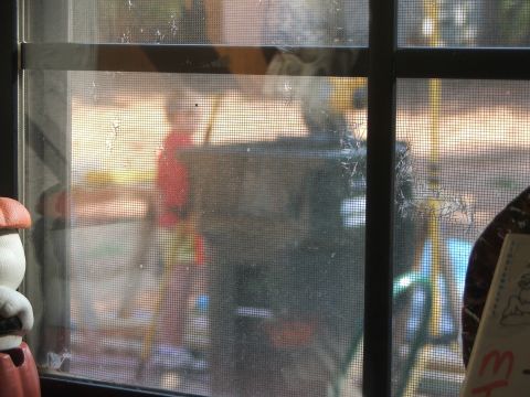 2005 Ford Mustang - A blurry view through a window screen shows an interior scene with a person and indistinct objects.