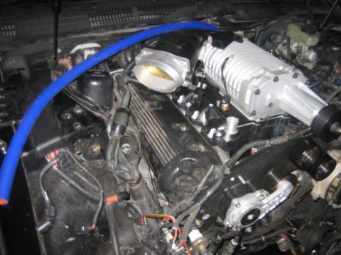 1996 Ford Thunderbird - Engine bay with a supercharger and blue hose installed.