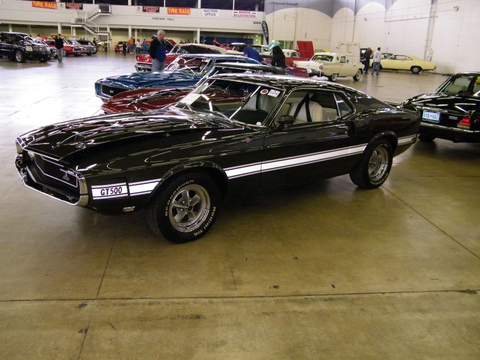 Black Shelby GT500 fastback Mustang on display at an indoor car show