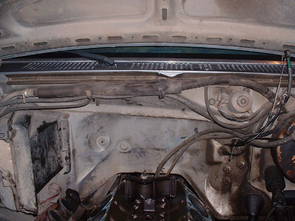 Engine bay with hoses and wiring visible, under the hood