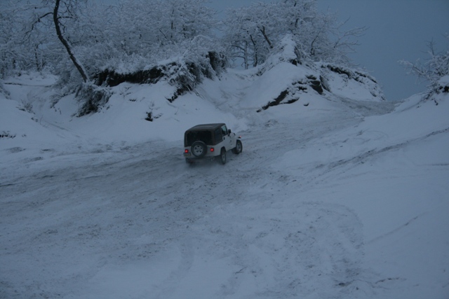 White Jeep Wrangler driving on a snowy road with trees covered in snow