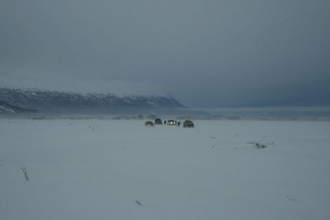1990 Chevrolet Suburban - A group of SUVs are stopped in a wide, snow-covered area with a mountain range in the background.